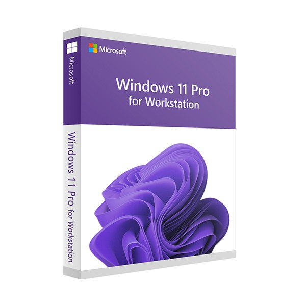 WINDOWS 11 Pro for Workstation